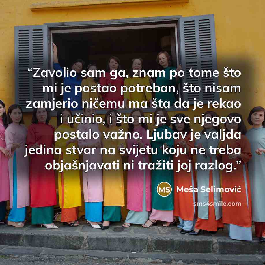 “Zavolio sam ga, znam po tome što mi je postao potreban, što nisam zamjerio ničemu ma šta da je rekao i učinio, i što mi je sve njegovo postalo važno. Ljubav je valjda jedina stvar na svijetu koju ne treba objašnjavati ni tražiti joj razlog.” quote by Meša Selimović