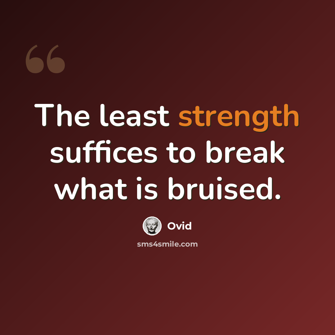 “The least strength suffices to break what is bruised.” quote by Ovid