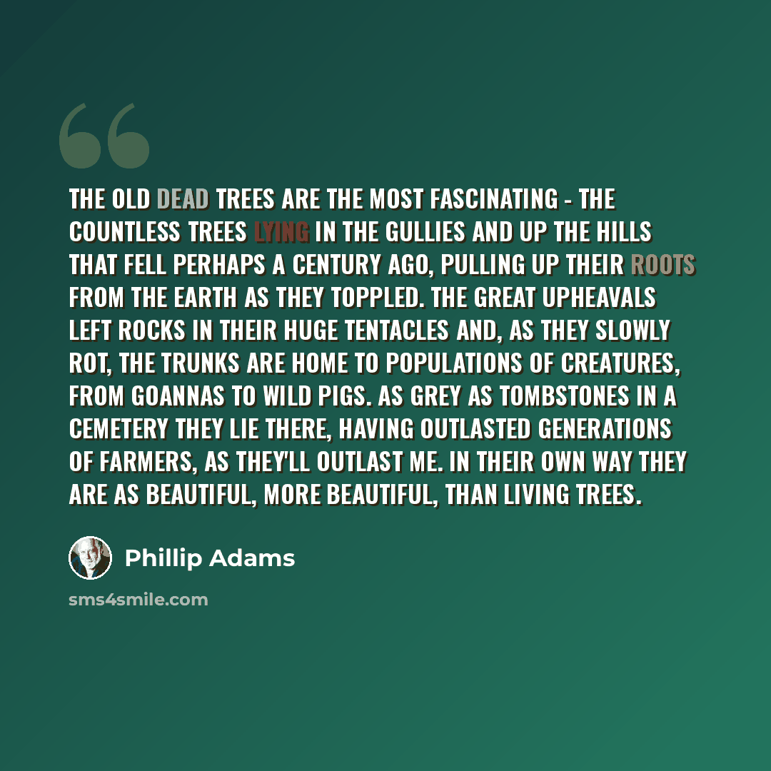 “The old dead trees are the most fascinating - the countless trees lying in the gullies and up the hills that fell perhaps a century ago, pulling up their roots from the earth as they toppled. The great upheavals left rocks in their huge tentacles and, as they slowly rot, the trunks are home to…” quote by Phillip Adams