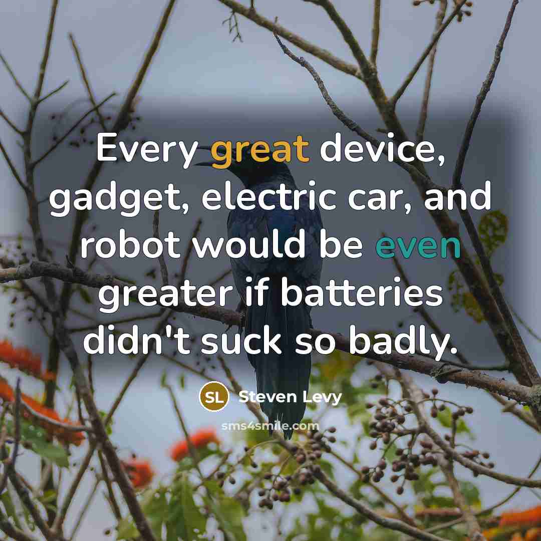 “Every great device, gadget, electric car, and robot would be even greater if batteries didn't suck so badly.” quote by Steven Levy