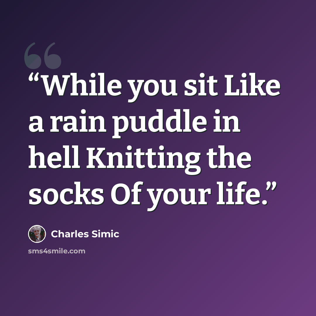 “While you sit Like a rain puddle in hell Knitting the socks Of your life.” quote by Charles Simic