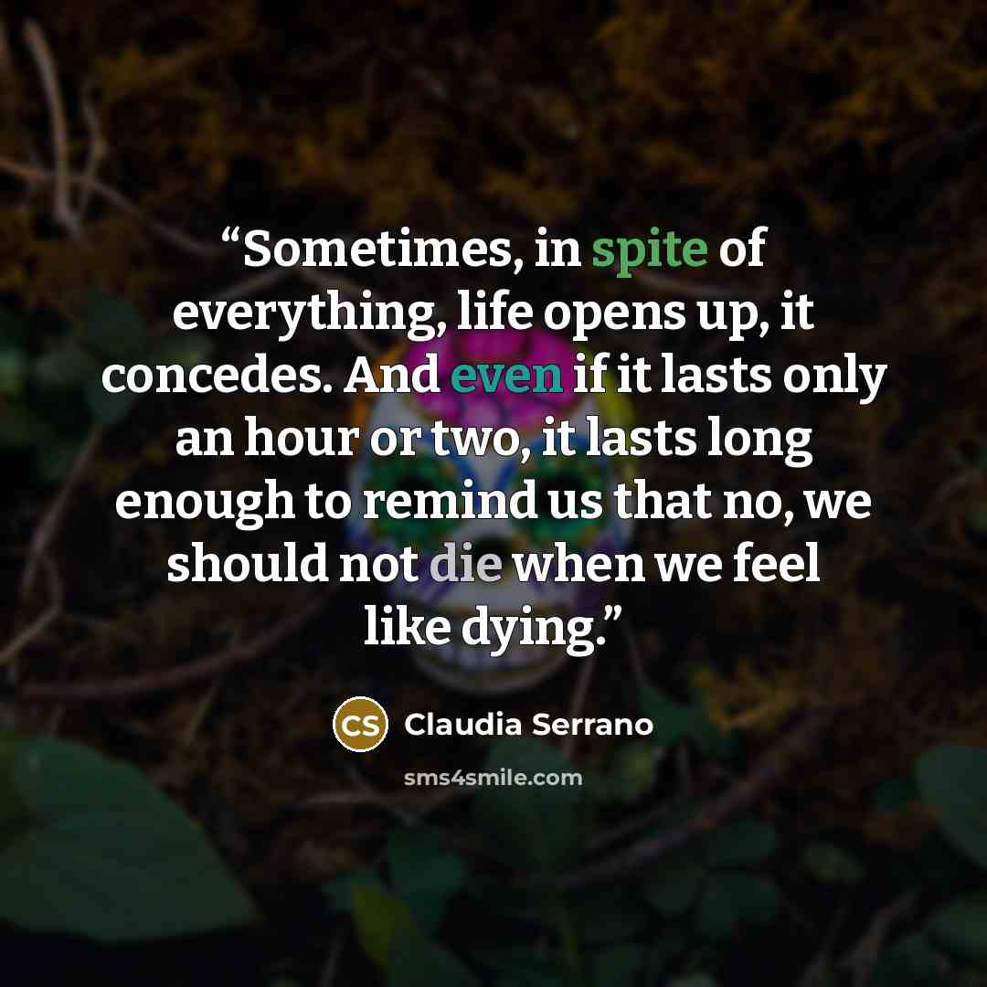 “Sometimes, in spite of everything, life opens up, it concedes. And even if it lasts only an hour or two, it lasts long enough to remind us that no, we should not die when we feel like dying.” quote by Claudia Serrano