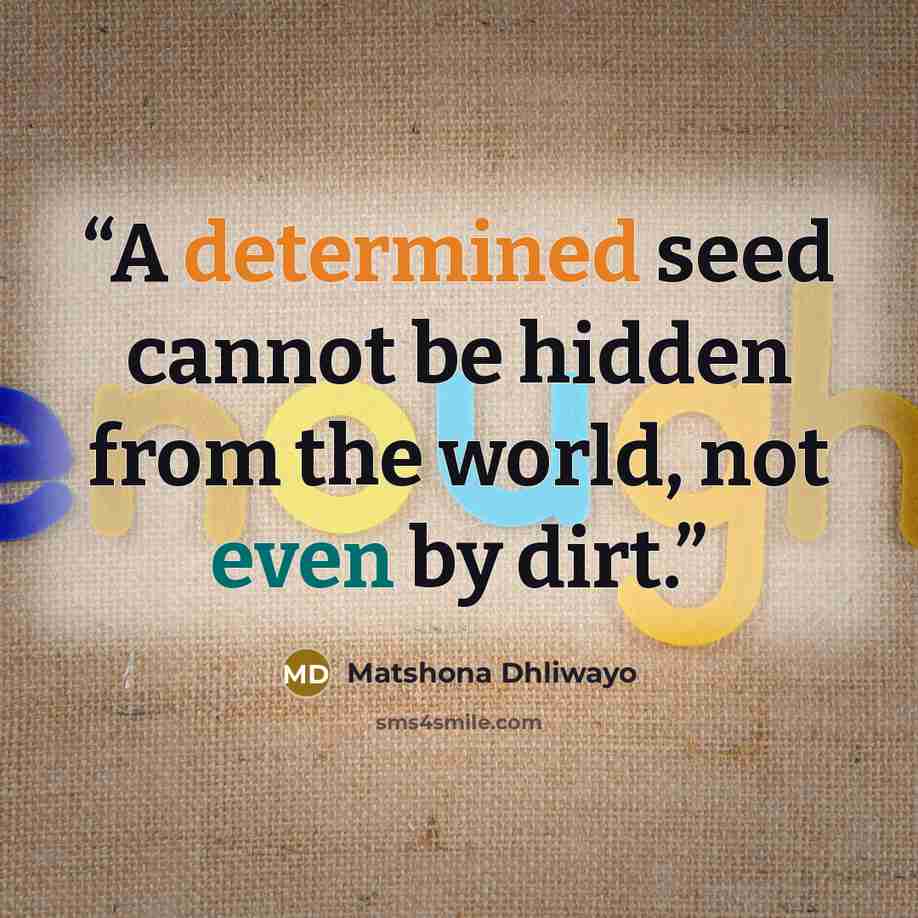 “A determined seed cannot be hidden from the world, not even by dirt.” quote by Matshona Dhliwayo