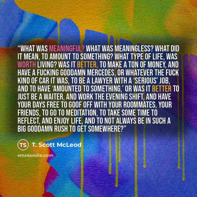 “What was meaningful? What was meaningless? What did it mean, to amount to something? What type of life, was worth living? Was it better, to make a ton of money, and have a fucking goddamn Mercedes, or whatever the fuck kind of car it was, to be a lawyer with a ‘serious’ job, and to have ‘amounted…” quote by T. Scott McLeod