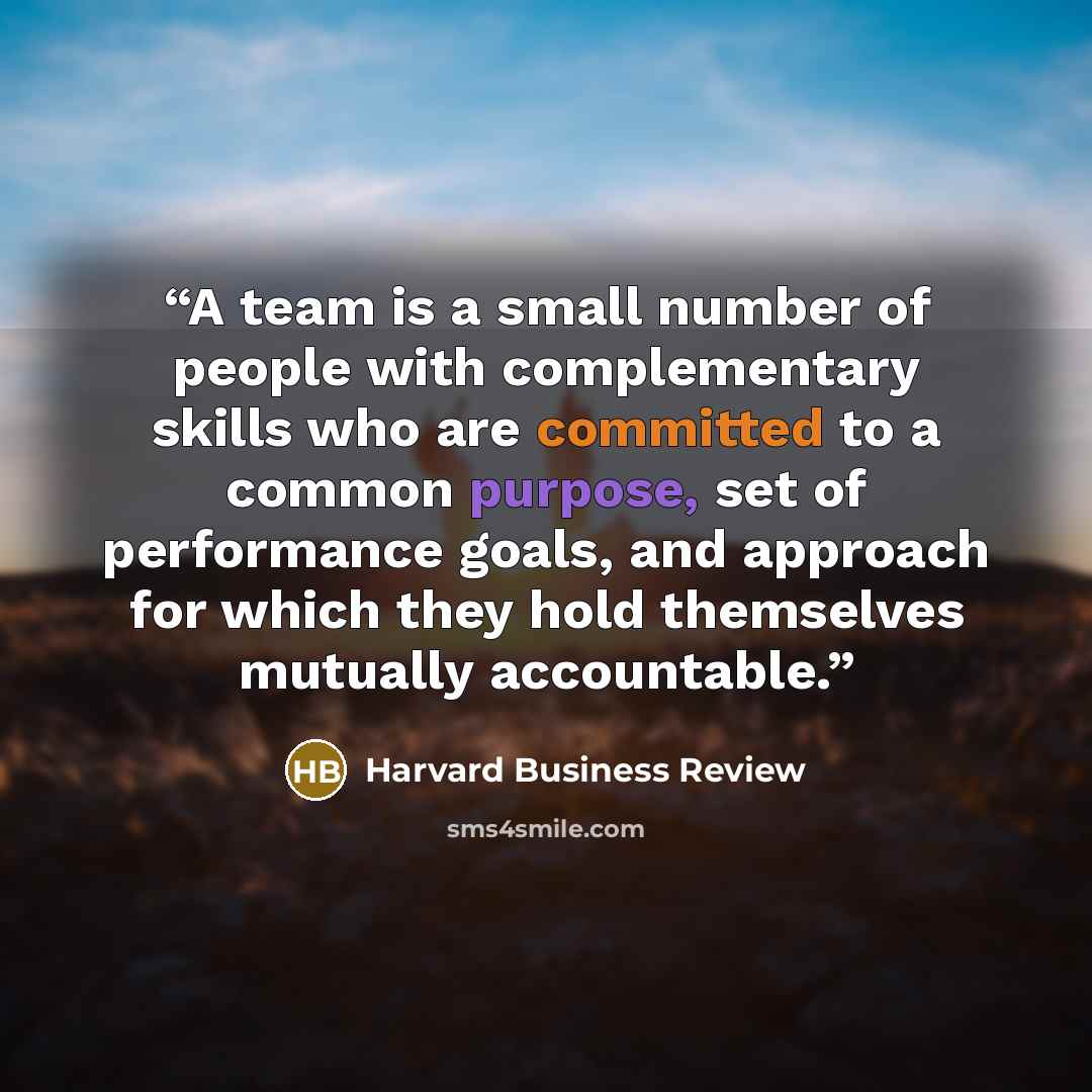 “A team is a small number of people with complementary skills who are committed to a common purpose, set of performance goals, and approach for which they hold themselves mutually accountable.” quote by Harvard Business Review