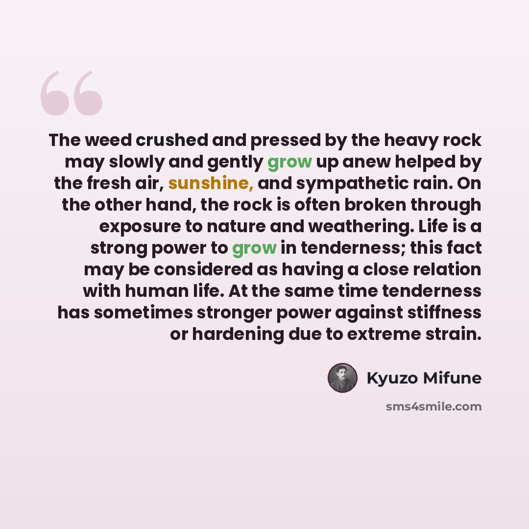 “The weed crushed and pressed by the heavy rock may slowly and gently grow up anew helped by the fresh air, sunshine, and sympathetic rain. On the other hand, the rock is often broken through exposure to nature and weathering. Life is a strong power to grow in tenderness; this fact may be…” quote by Kyuzo Mifune
