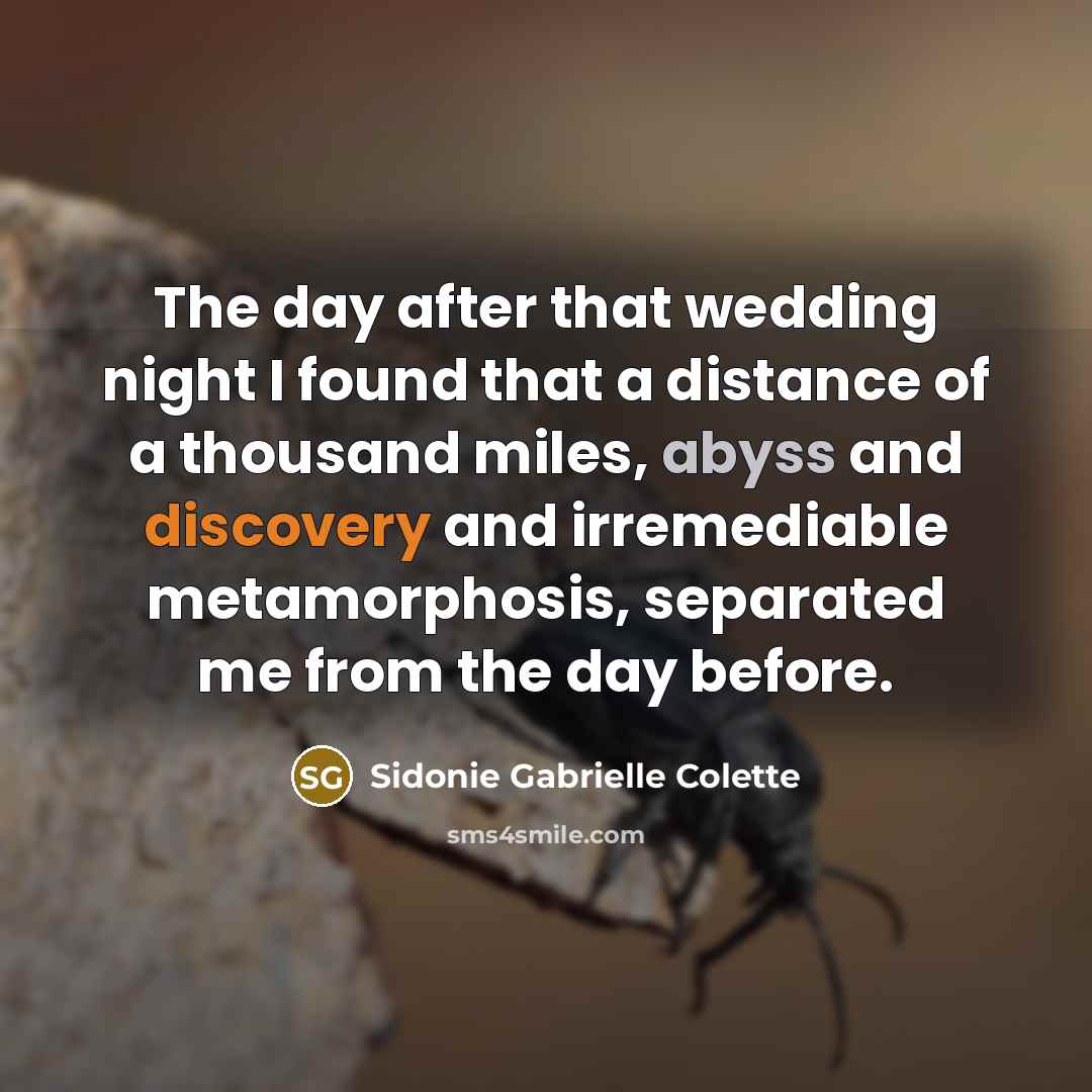 “The day after that wedding night I found that a distance of a thousand miles, abyss and discovery and irremediable metamorphosis, separated me from the day before.” quote by Sidonie Gabrielle Colette