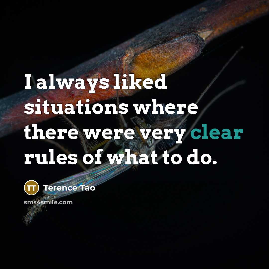 “I always liked situations where there were very clear rules of what to do.” quote by Terence Tao