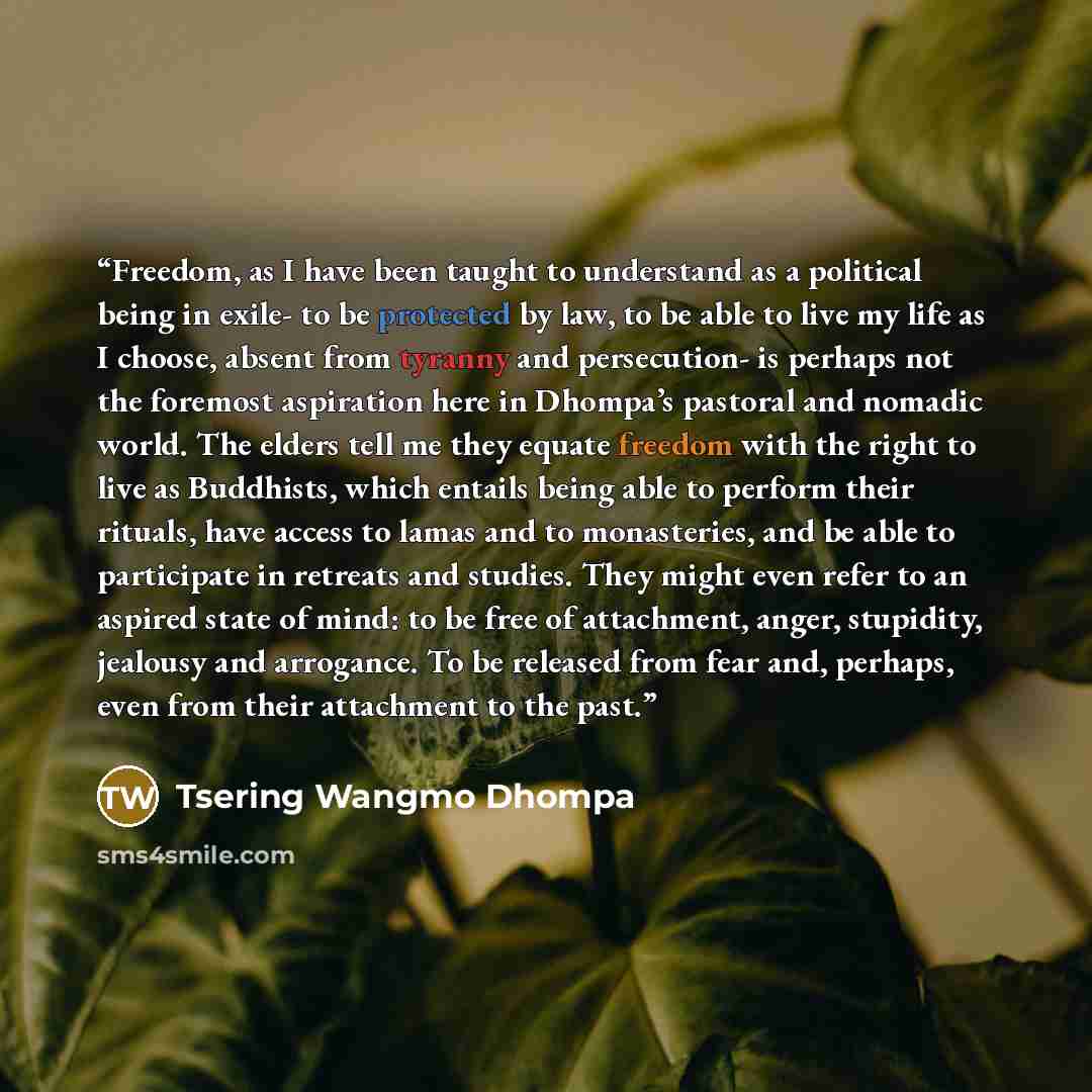 “Freedom, as I have been taught to understand as a political being in exile- to be protected by law, to be able to live my life as I choose, absent from tyranny and persecution- is perhaps not the foremost aspiration here in Dhompa’s pastoral and nomadic world. The elders tell me they equate…” quote by Tsering Wangmo Dhompa