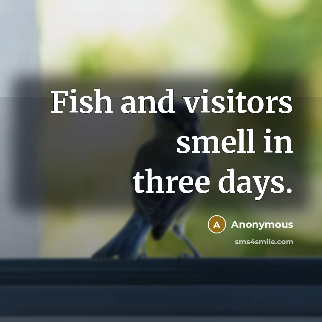 “Fish and visitors smell in three days.” quote by Anonymous