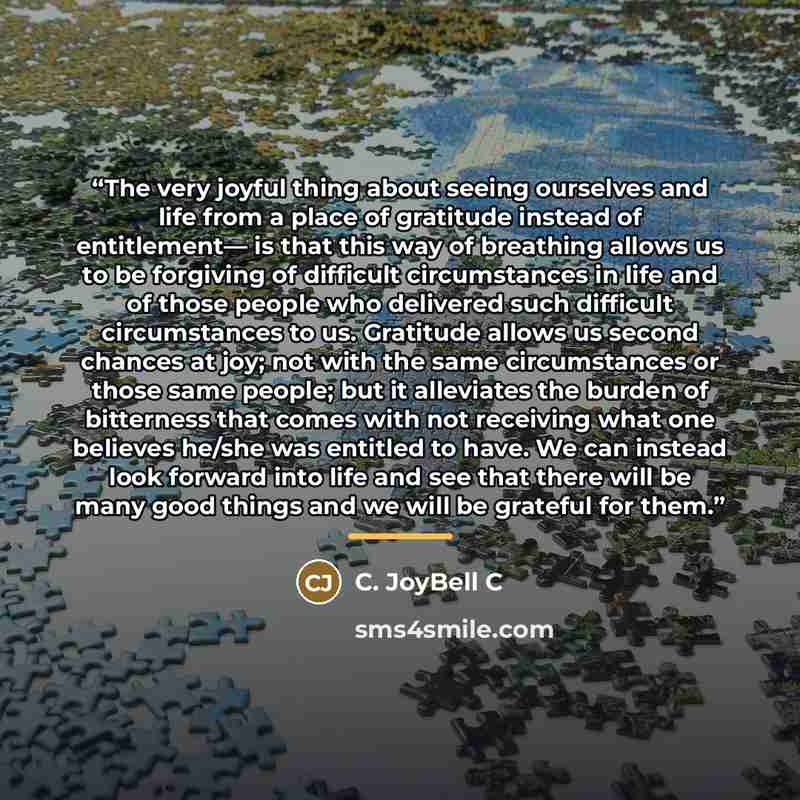 “The very joyful thing about seeing ourselves and life from a place of gratitude instead of entitlement— is that this way of breathing allows us to be forgiving of difficult circumstances in life and of those people who delivered such difficult circumstances to us. Gratitude allows us second…” quote by C. JoyBell C
