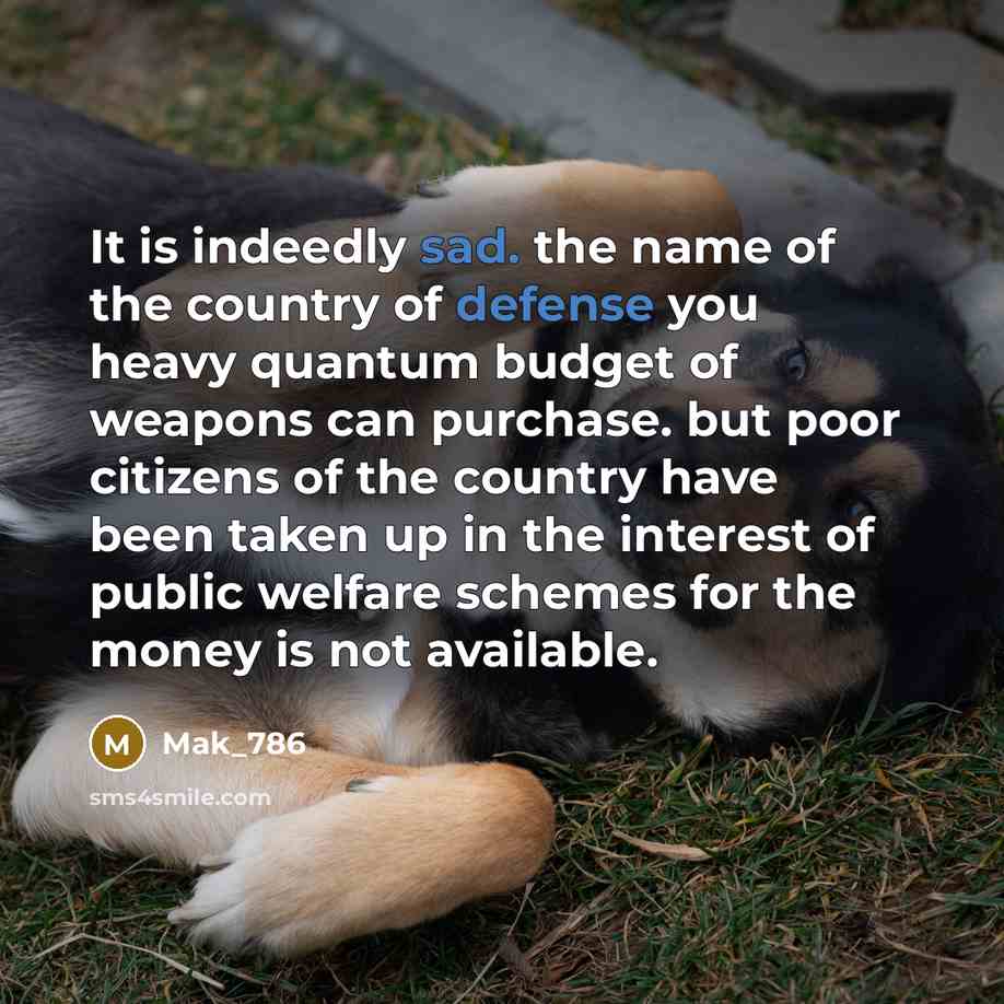 “It is indeedly sad. the name of the country of defense you heavy quantum budget of weapons can purchase. but poor citizens of the country have been taken up in the interest of public welfare schemes for the money is not available.” quote by Mak_786
