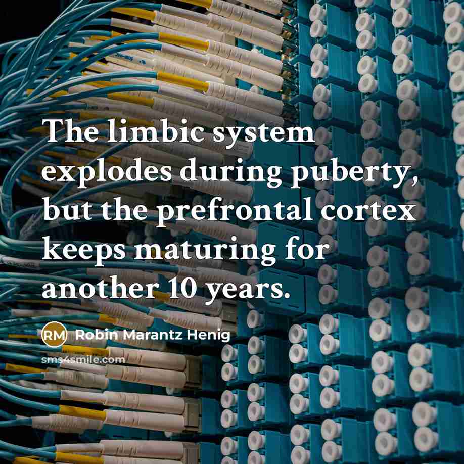 “The limbic system explodes during puberty, but the prefrontal cortex keeps maturing for another 10 years.” quote by Robin Marantz Henig