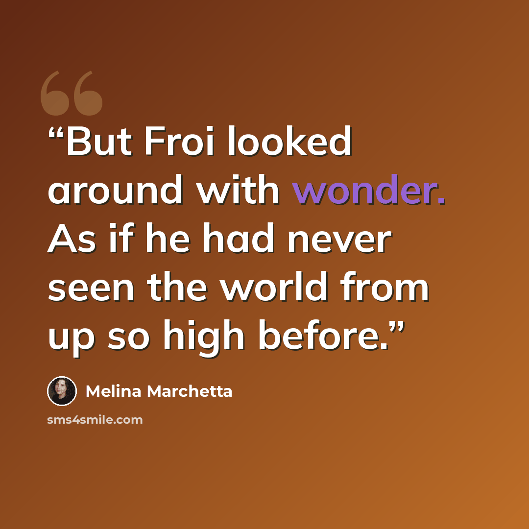 “But Froi looked around with wonder. As if he had never seen the world from up so high before.” quote by Melina Marchetta
