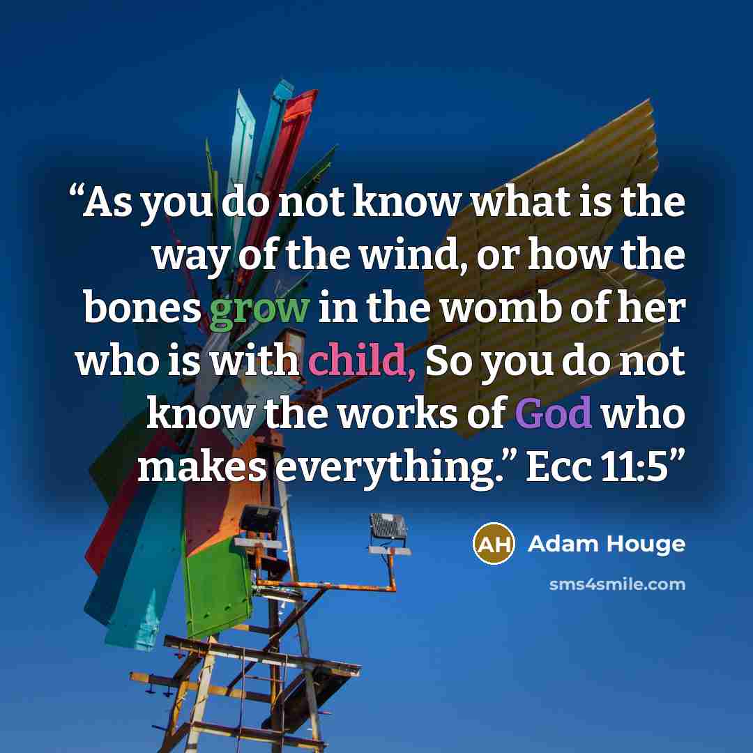 “As you do not know what is the way of the wind, or how the bones grow in the womb of her who is with child, So you do not know the works of God who makes everything.” Ecc 11:5” quote by Adam Houge