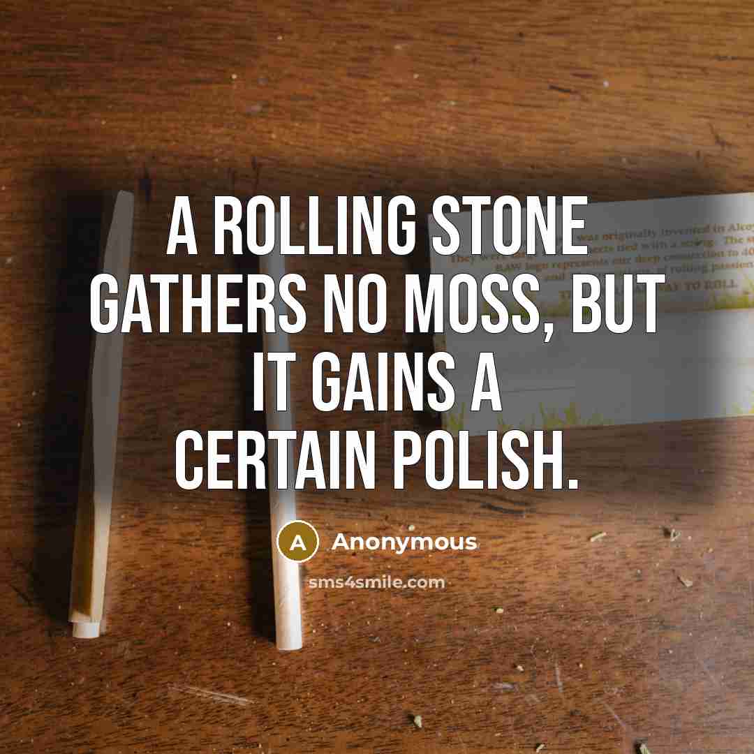 “A rolling stone gathers no moss, but it gains a certain polish.” quote by Anonymous