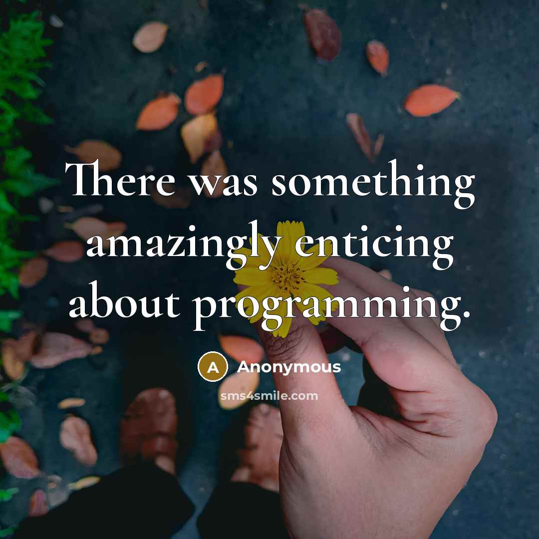 “There was something amazingly enticing about programming.” quote by Anonymous