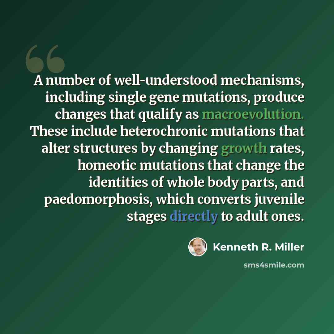 “A number of well-understood mechanisms, including single gene mutations, produce changes that qualify as macroevolution. These include heterochronic mutations that alter structures by changing growth rates, homeotic mutations that change the identities of whole body parts, and paedomorphosis…” quote by Kenneth R. Miller