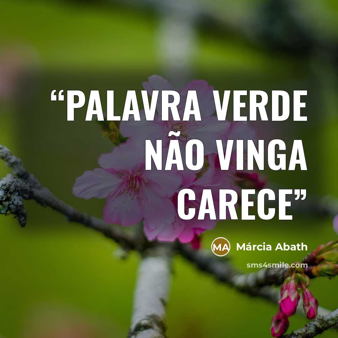 “palavra verde não vinga carece” quote by Márcia Abath