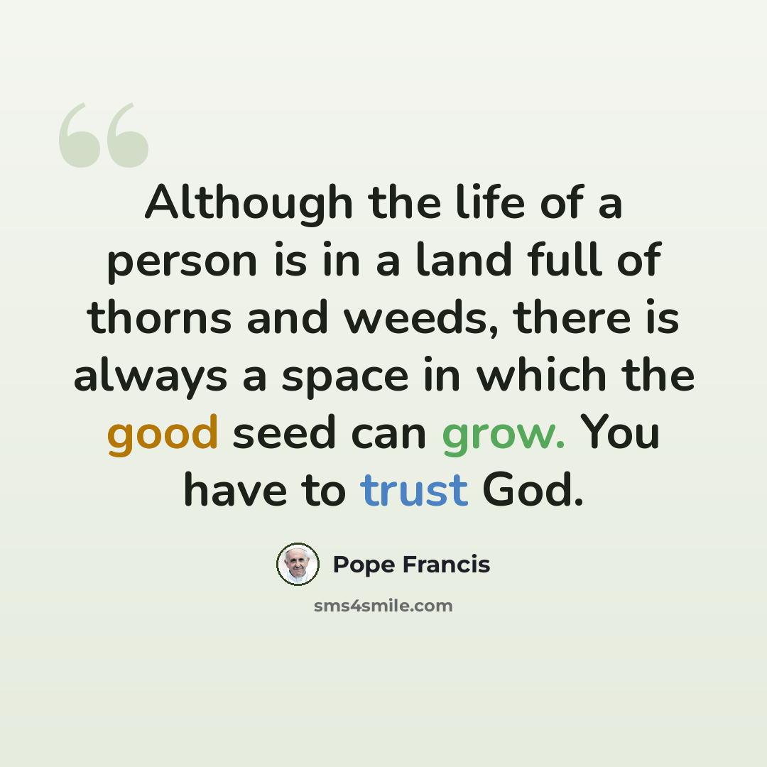 “Although the life of a person is in a land full of thorns and weeds, there is always a space in which the good seed can grow. You have to trust God.” quote by Pope Francis