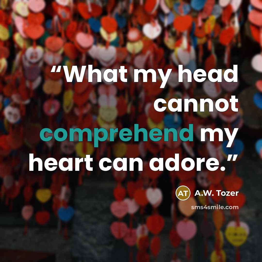 “What my head cannot comprehend my heart can adore.” quote by A.W. Tozer