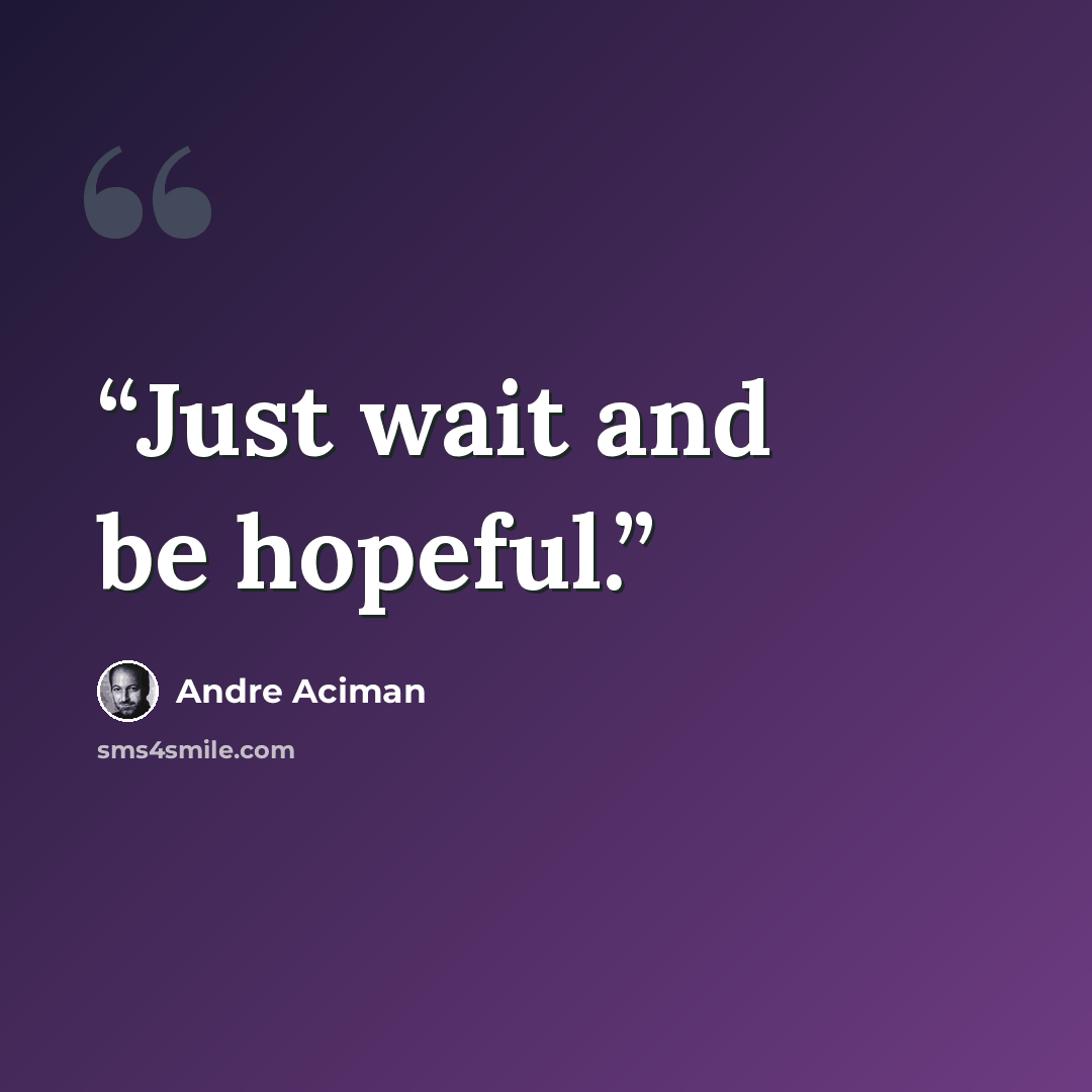 “Just wait and be hopeful.” quote by André Aciman