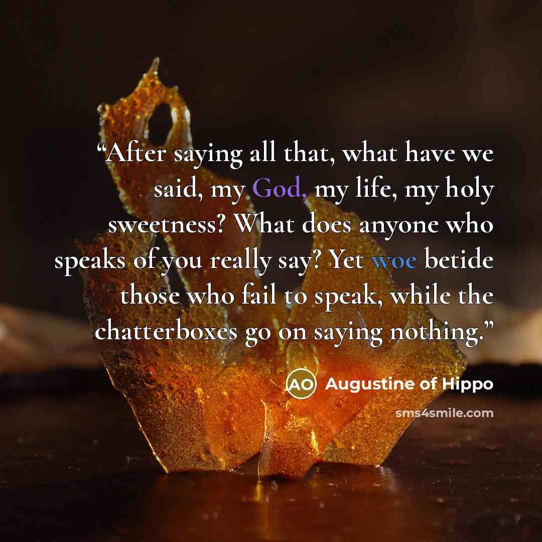 “After saying all that, what have we said, my God, my life, my holy sweetness? What does anyone who speaks of you really say? Yet woe betide those who fail to speak, while the chatterboxes go on saying nothing.” quote by Augustine of Hippo