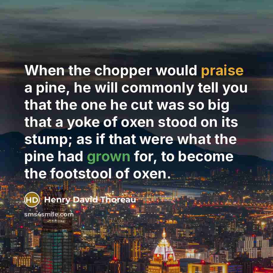 “When the chopper would praise a pine, he will commonly tell you that the one he cut was so big that a yoke of oxen stood on its stump; as if that were what the pine had grown for, to become the footstool of oxen.” quote by Henry David Thoreau