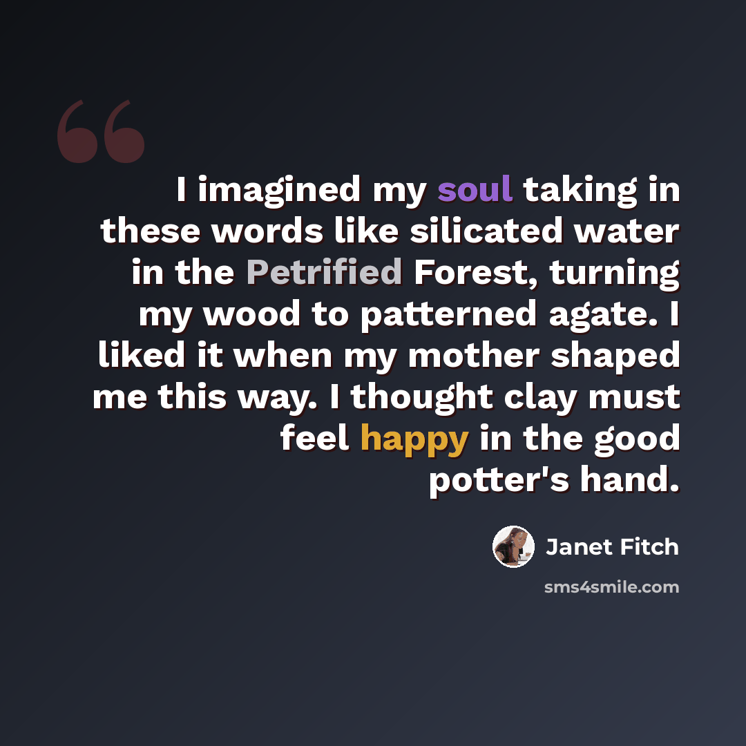 “I imagined my soul taking in these words like silicated water in the Petrified Forest, turning my wood to patterned agate. I liked it when my mother shaped me this way. I thought clay must feel happy in the good potter's hand.” quote by Janet Fitch