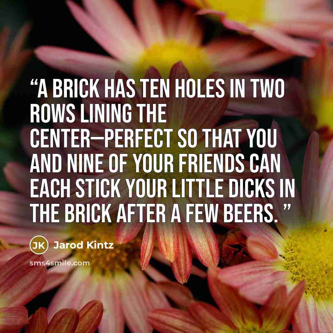 “A brick has ten holes in two rows lining the center—perfect so that you and nine of your friends can each stick your little dicks in the brick after a few beers.” quote by Jarod Kintz