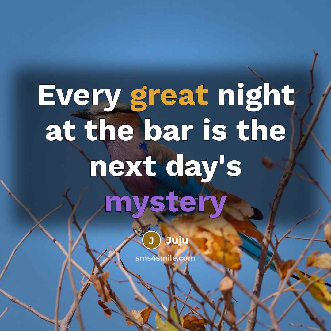 “Every great night at the bar is the next day's mystery” quote by Juju