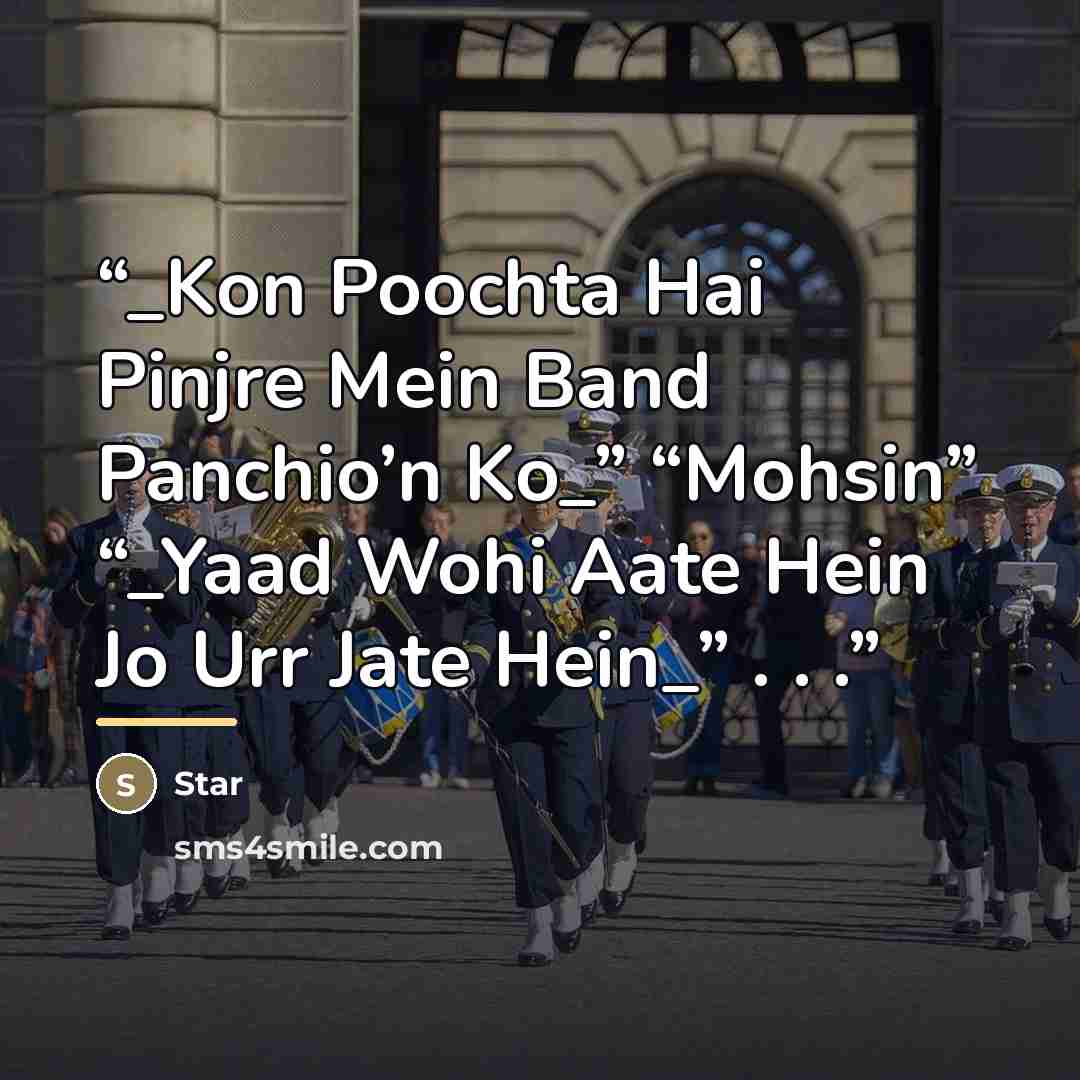 “_Kon Poochta Hai Pinjre Mein Band Panchio’n Ko_” “Mohsin” “_Yaad Wohi Aate Hein Jo Urr Jate Hein_” . . .” quote by Star