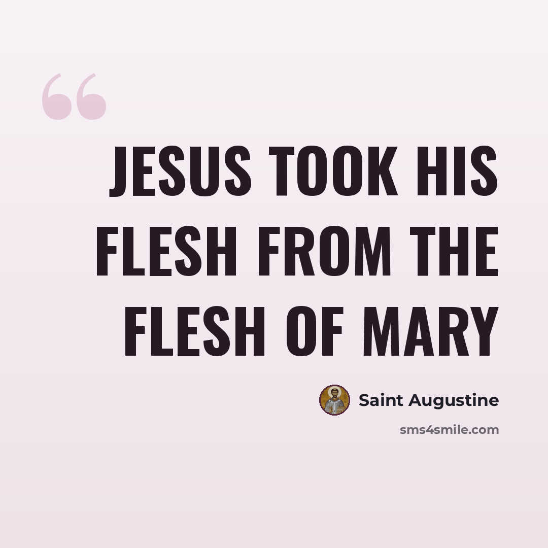 “Jesus took His flesh from the flesh of Mary” quote by Saint Augustine