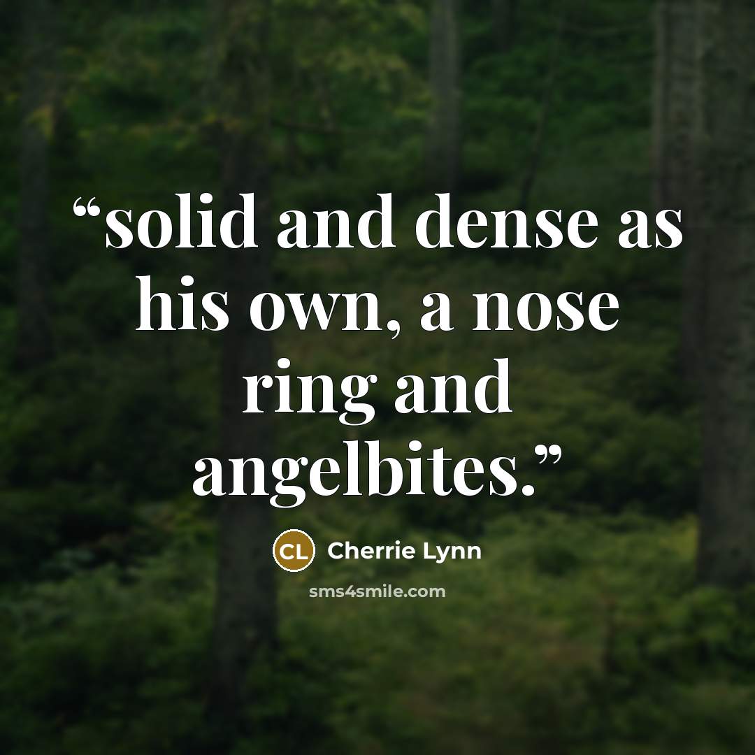 “solid and dense as his own, a nose ring and angelbites.” quote by Cherrie Lynn