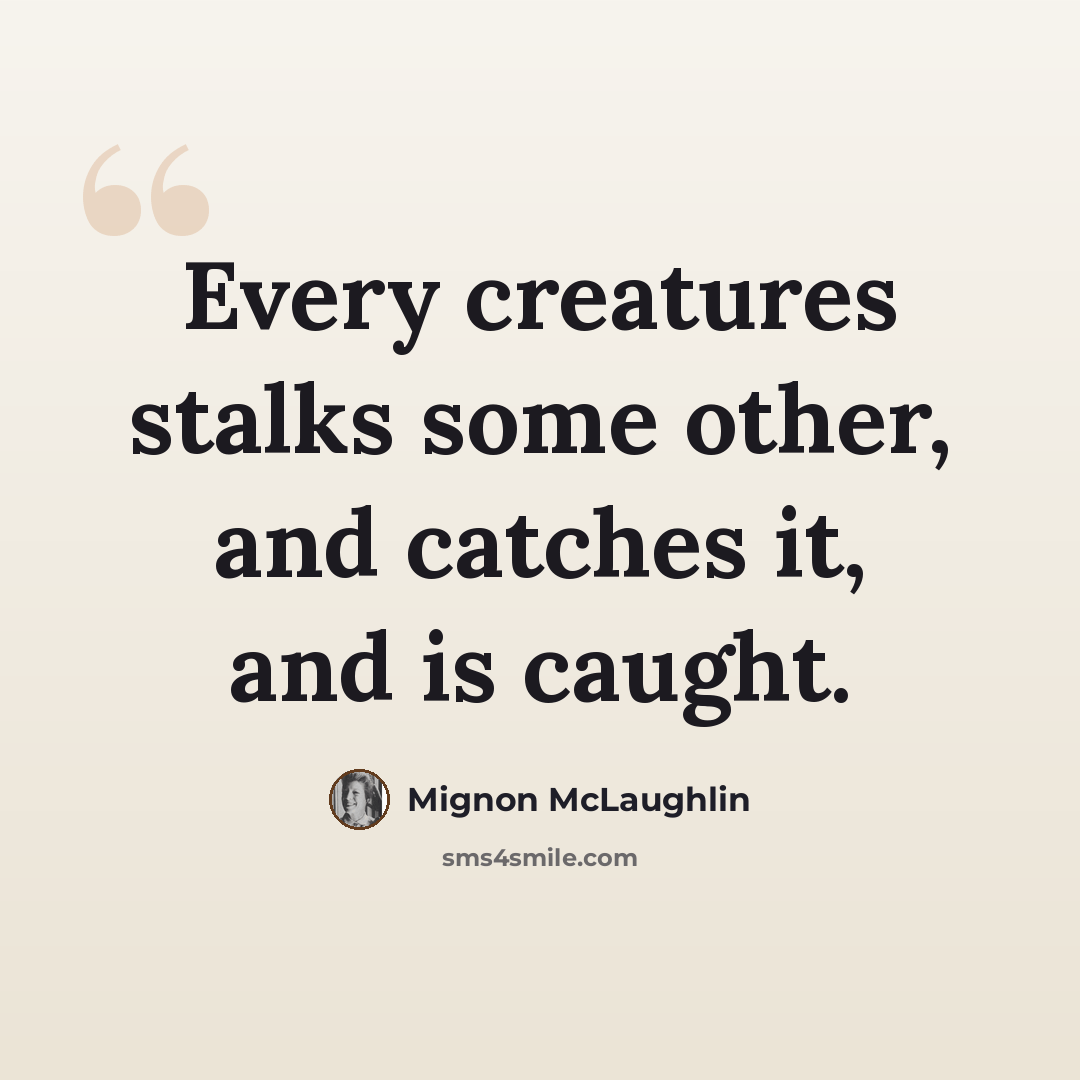 “Every creatures stalks some other, and catches it, and is caught.” quote by Mignon McLaughlin