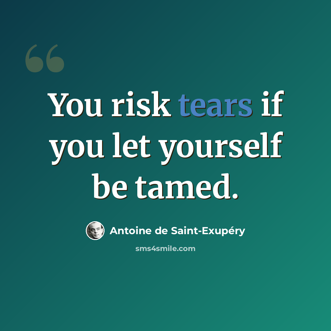 “You risk tears if you let yourself be tamed.” quote by Antoine de Saint-Exupery