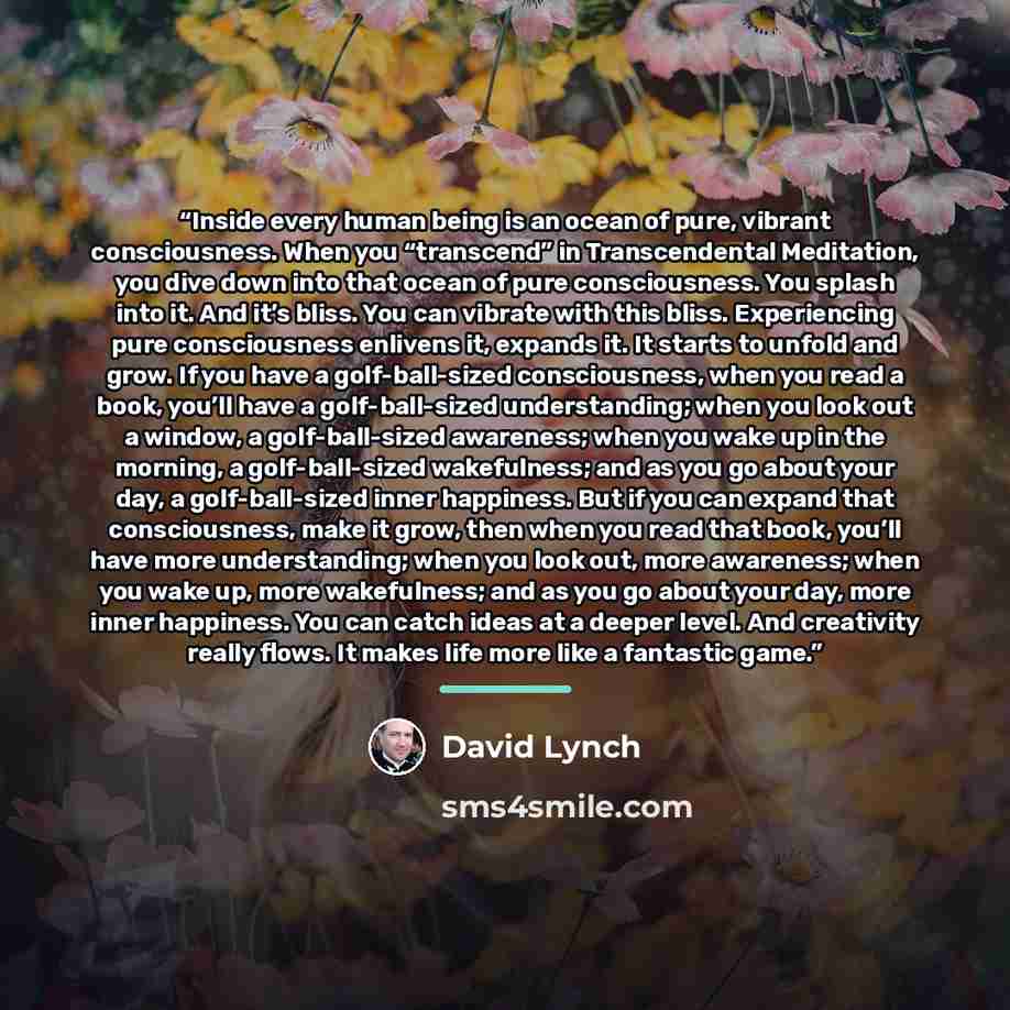 “Inside every human being is an ocean of pure, vibrant consciousness. When you “transcend” in Transcendental Meditation, you dive down into that ocean of pure consciousness. You splash into it. And it’s bliss. You can vibrate with this bliss. Experiencing pure consciousness enlivens it, expands it…” quote by David Lynch