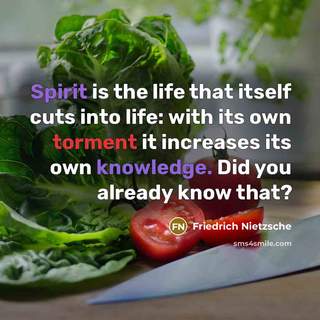 “Spirit is the life that itself cuts into life: with its own torment it increases its own knowledge. Did you already know that?” quote by Friedrich Nietzsche