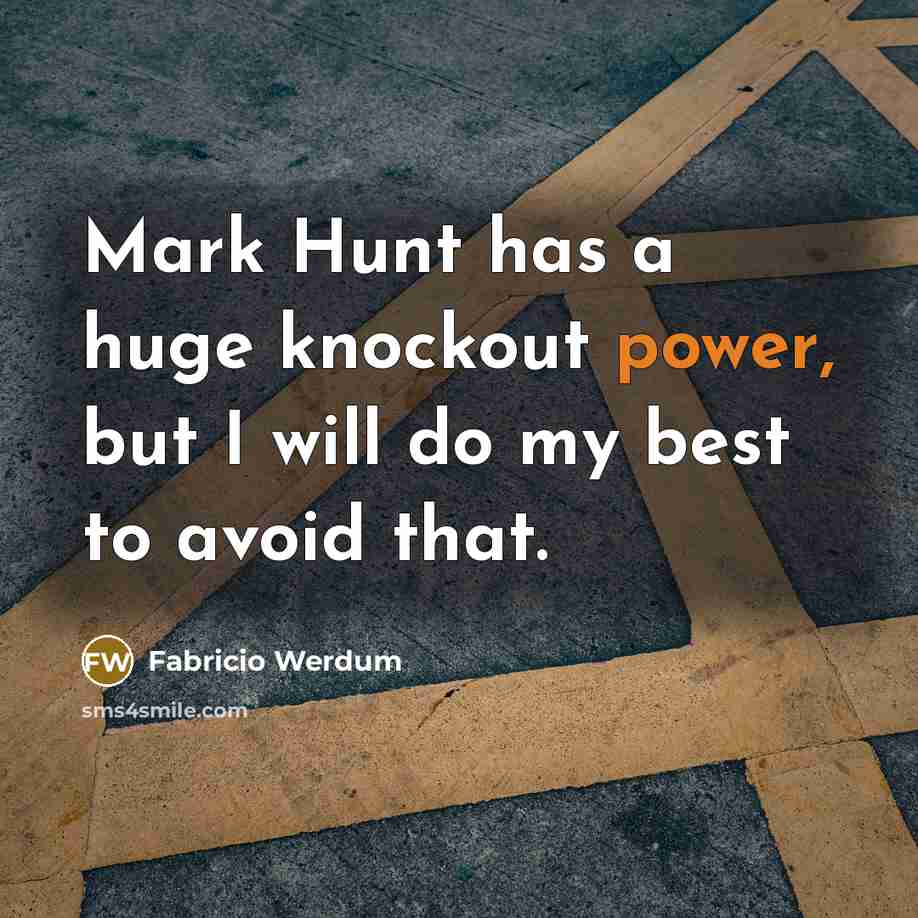 “Mark Hunt has a huge knockout power, but I will do my best to avoid that.” quote by Fabricio Werdum
