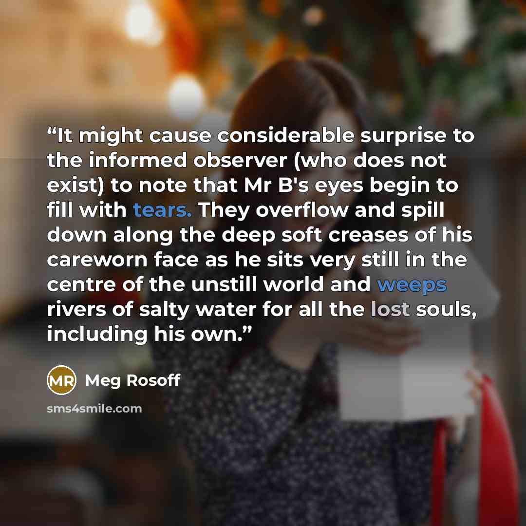 “It might cause considerable surprise to the informed observer (who does not exist) to note that Mr B's eyes begin to fill with tears. They overflow and spill down along the deep soft creases of his careworn face as he sits very still in the centre of the unstill world and weeps rivers of salty…” quote by Meg Rosoff