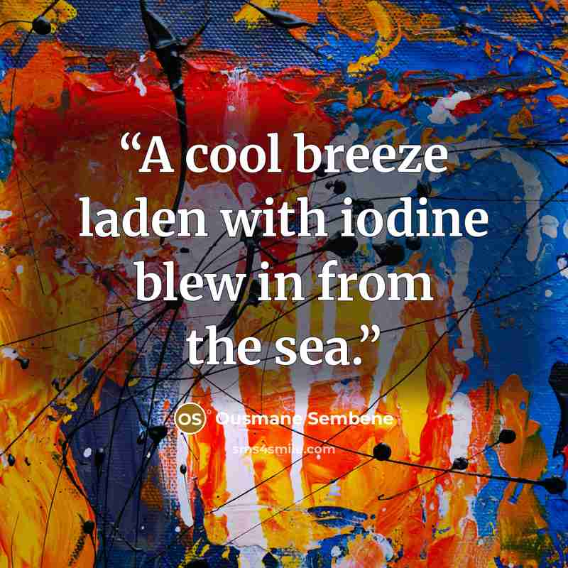 “A cool breeze laden with iodine blew in from the sea.” quote by Ousmane Sembène