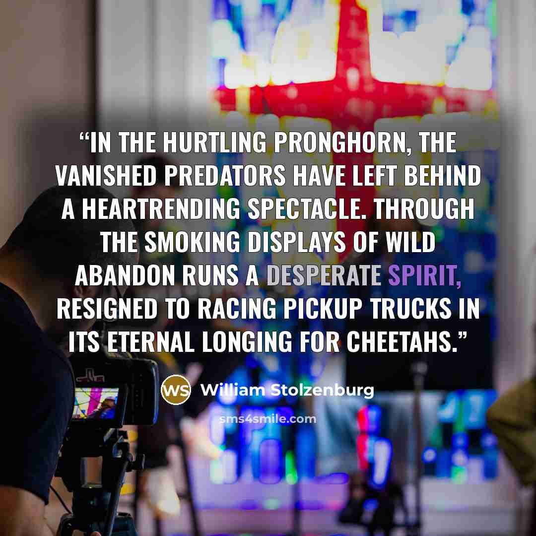 “In the hurtling pronghorn, the vanished predators have left behind a heartrending spectacle. Through the smoking displays of wild abandon runs a desperate spirit, resigned to racing pickup trucks in its eternal longing for cheetahs.” quote by William Stolzenburg