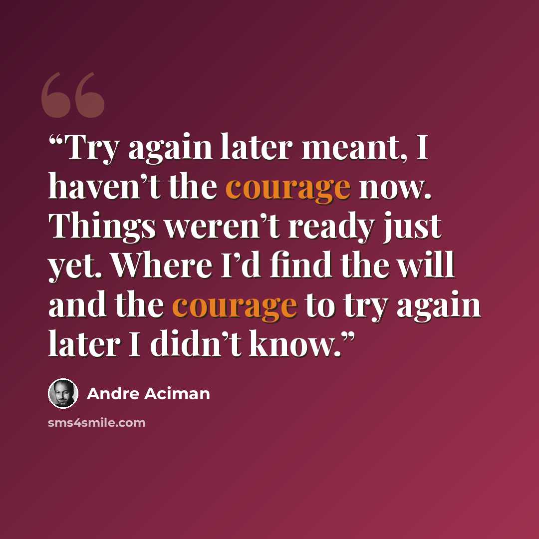 “Try again later meant, I haven’t the courage now. Things weren’t ready just yet. Where I’d find the will and the courage to try again later I didn’t know.” quote by André Aciman