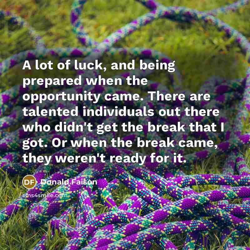 “A lot of luck, and being prepared when the opportunity came. There are talented individuals out there who didn't get the break that I got. Or when the break came, they weren't ready for it.” quote by Donald Faison