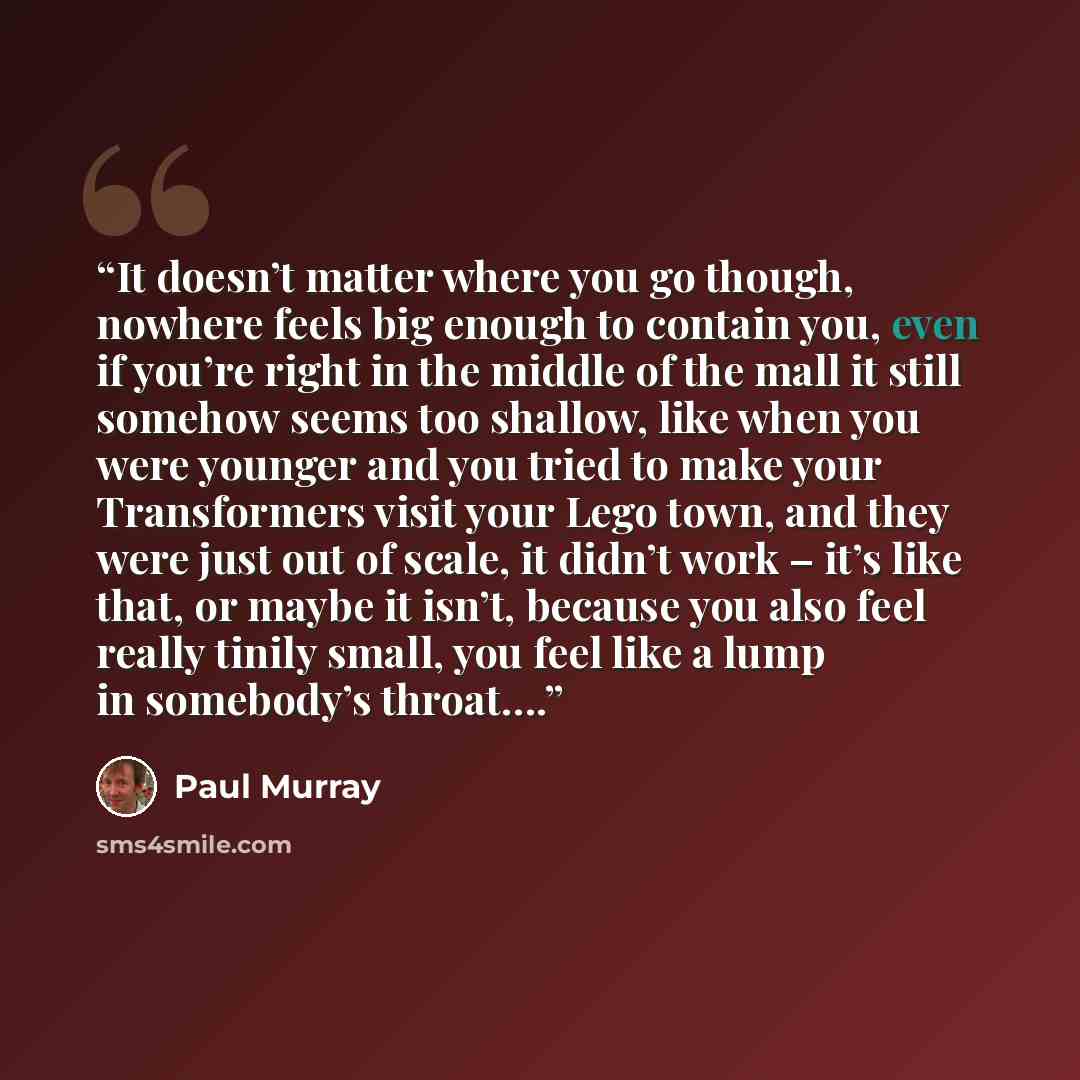 “It doesn’t matter where you go though, nowhere feels big enough to contain you, even if you’re right in the middle of the mall it still somehow seems too shallow, like when you were younger and you tried to make your Transformers visit your Lego town, and they were just out of scale, it didn’t…” quote by Paul Murray