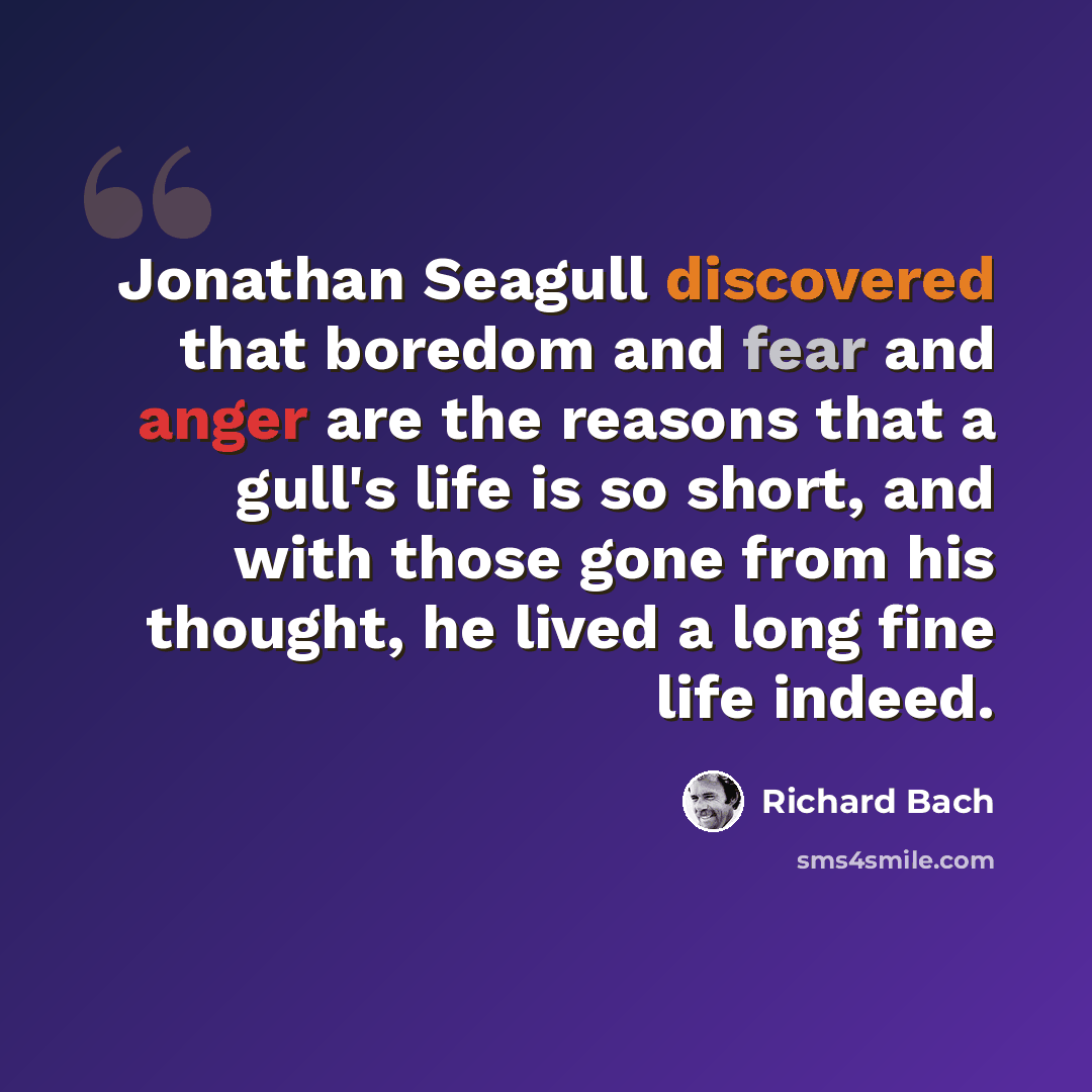 “Jonathan Seagull discovered that boredom and fear and anger are the reasons that a gull's life is so short, and with those gone from his thought, he lived a long fine life indeed.” quote by Richard Bach
