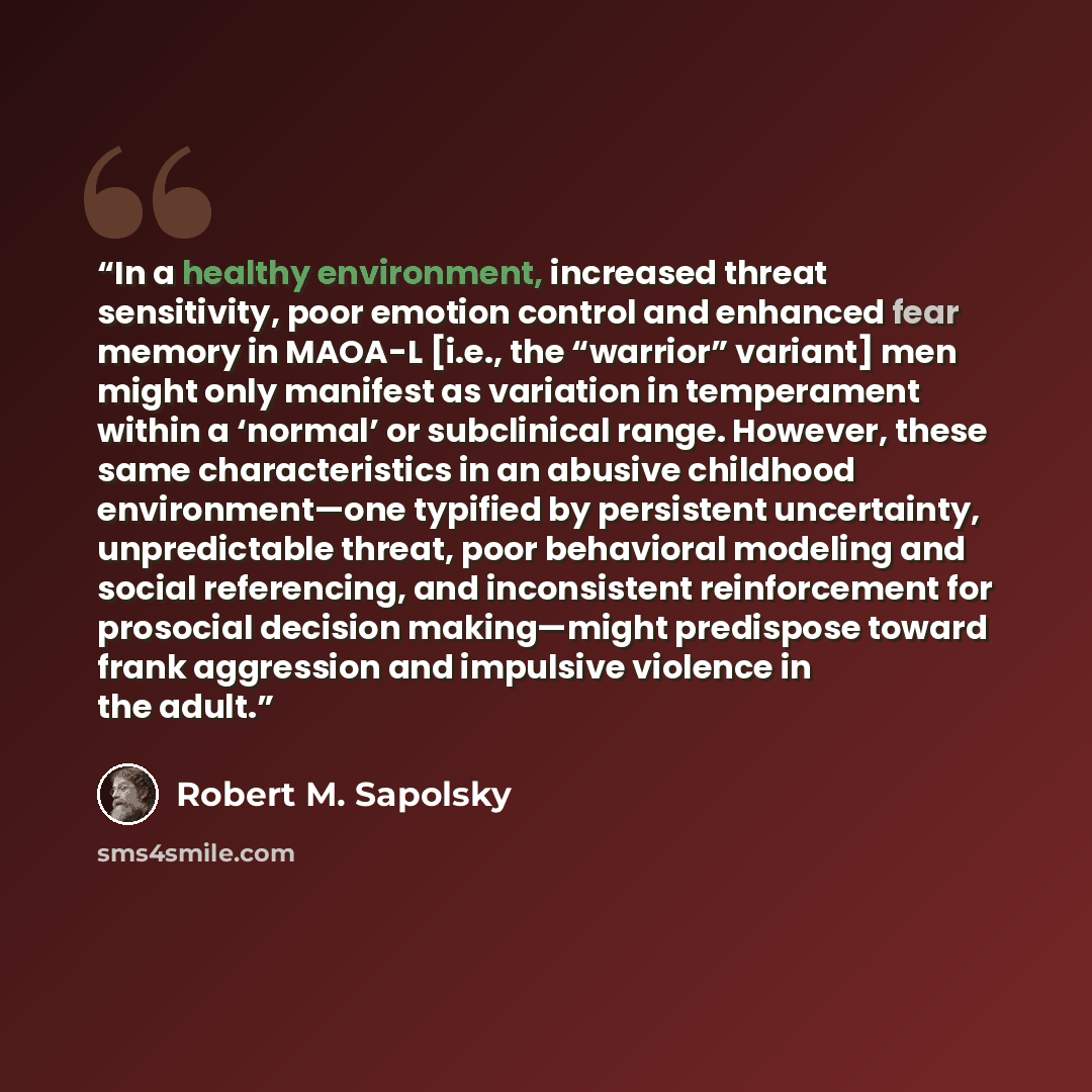 “In a healthy environment, increased threat sensitivity, poor emotion control and enhanced fear memory in MAOA-L [i.e., the “warrior” variant] men might only manifest as variation in temperament within a ‘normal’ or subclinical range. However, these same characteristics in an abusive childhood…” quote by Robert M. Sapolsky