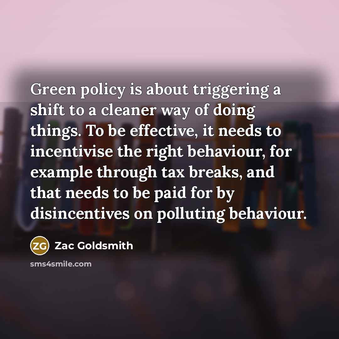 “Green policy is about triggering a shift to a cleaner way of doing things. To be effective, it needs to incentivise the right behaviour, for example through tax breaks, and that needs to be paid for by disincentives on polluting behaviour.” quote by Zac Goldsmith