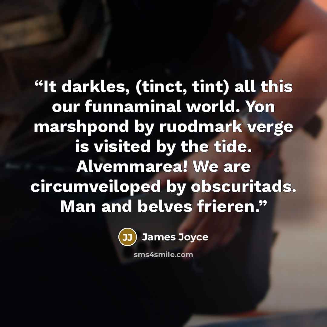 “It darkles, (tinct, tint) all this our funnaminal world. Yon marshpond by ruodmark verge is visited by the tide. Alvemmarea! We are circumveiloped by obscuritads. Man and belves frieren.” quote by James Joyce
