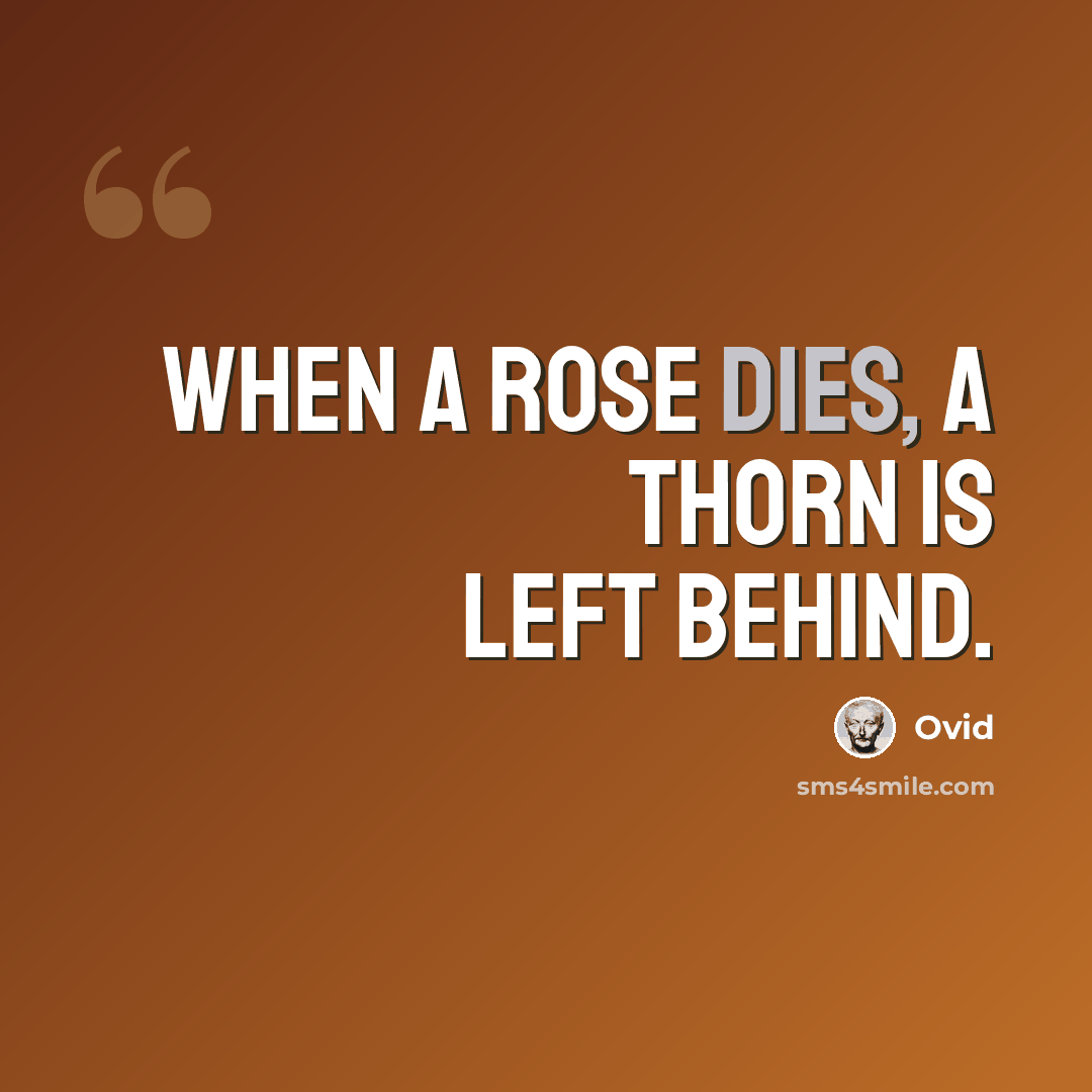 “When a rose dies, a thorn is left behind.” quote by Ovid